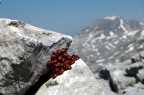 per non morire di freddo.... per non morire di freddo....