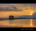 Risaie del Vercellese Risaie del Vercellese