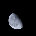 CANON EOS 60D
F/5.6 - T 1/400 sec - Focale 300mm - ISO 640 - Modo esp. Spot