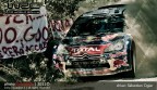 WRC 2011 in Sardegna WRC 2011 in Sardegna
