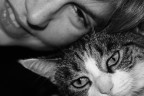 Le mie gatte Le mie gatte