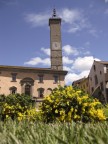 Piazza del Plebiscito di Viterbo durante la manifestazione S. Pellegrino in fiore 2011
