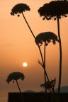 Una calda sera d'estate Una calda sera d'estate