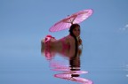 NYMPHAEA NYMPHAEA
