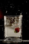 fragola splash fragola splash