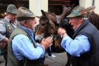 Alpini, usi e costumi Alpini, usi e costumi