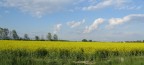 nella campagna friulana nella campagna friulana