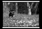 RUN RUN