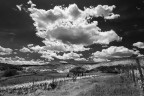 Toscana in b/n Toscana in b/n