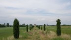 Casa con cipressi Casa con cipressi