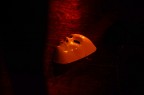 giù la maschera giù la maschera