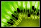 kiwi kiwi