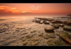 Rocks Rocks