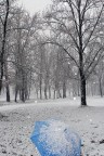 Nevica ... forse troppo presto Nevica ... forse troppo presto