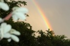 secondo arcobaleno secondo arcobaleno