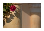 Maggio dei rosari Maggio dei rosari