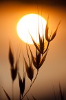 Tramonto Tramonto