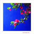 Blu.... green and pink