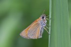 Riposo nel verde Riposo nel verde