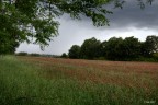 campagna romana campagna romana