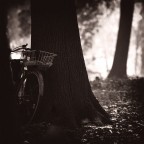 Grazie in anticipo e buona serata a tutti !