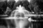 Fontana stenopeica Fontana stenopeica
