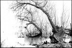 Sul-lago Sul-lago