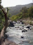 Fiume Alcantara Fiume Alcantara