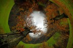 Vertigo: l'occhio della natura Vertigo: l'occhio della natura