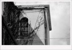 Window.
