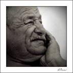 Absorbed Absorbed