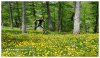 Skyrunning Skyrunning