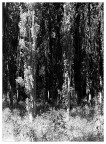 Natura 3 Natura 3