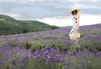 Nelle Basse Langhe una piccola Provenza Nelle Basse Langhe una piccola Provenza