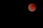 Rossa e bella Rossa e bella