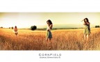 Cornfield Cornfield