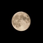 Moonlight Moonlight