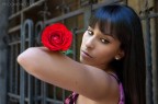 Il fiore la rosa e la spina nel cuore