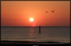 Grottammare: Alba