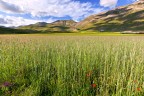 Castelluccio Castelluccio