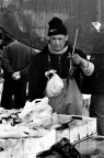 Livorno - Mercato del pesce. Livorno - Mercato del pesce.