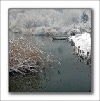 un piccolo angolo del mio paese..