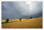 Prima del temporale Prima del temporale