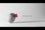 The beauty of life The beauty of life