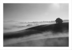 Nebbia, in bianco e nero Nebbia, in bianco e nero