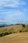 Colline marchigiane Colline marchigiane