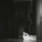 complementi d'arredo