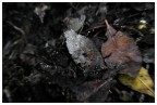 La natura, morta. La natura, morta.