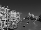 Venice b&amp;w