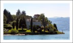 Cipressi sulle rive del lago Cipressi sulle rive del lago